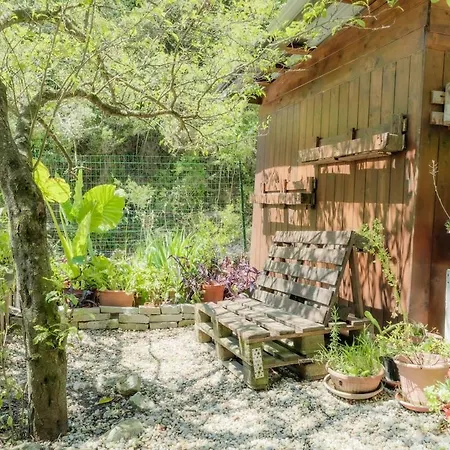 The Lemon Garden 罗马