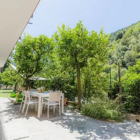 The Lemon Garden