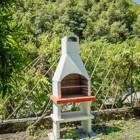 The Lemon Garden 公寓 罗马
